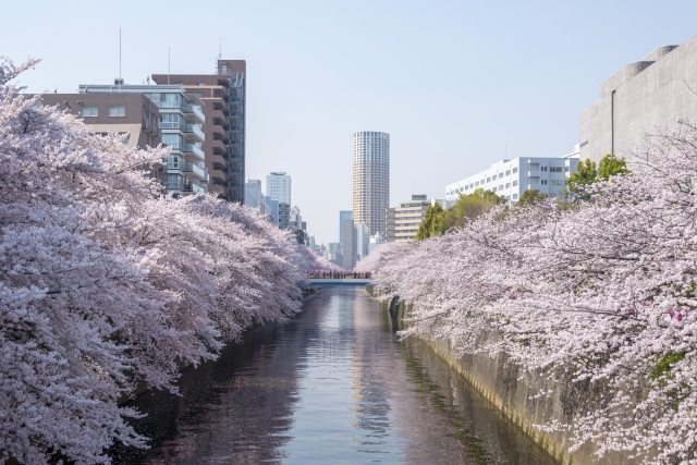 東京都目黒区でパソコンや液晶モニター、プリンター等を処分する方法のまとめ