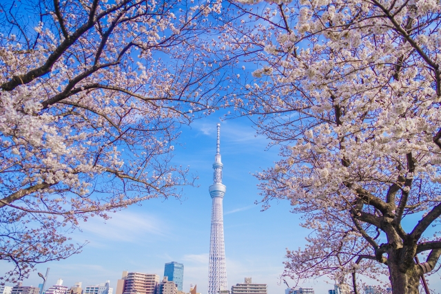 東京都墨田区でパソコンや液晶モニター、プリンター等を処分する方法のまとめ